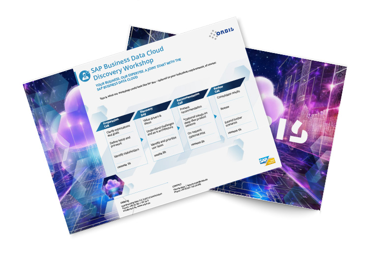 This is what your SAP BDC Discovery Workshop with ORBIS could look like! SAP BDC Discovery Workshop at ORBIS