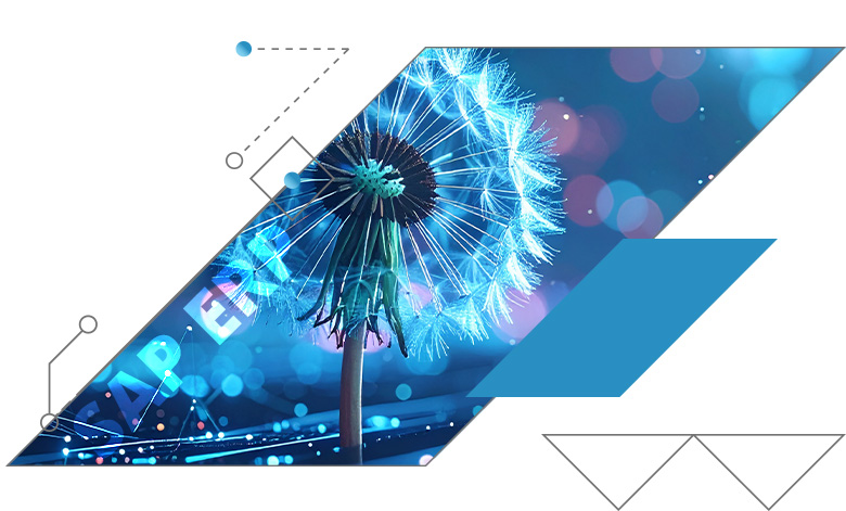 ORBIS assists you with SAP ERP support