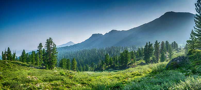 GROW with SAP and SAP S/4HANA Public Cloud